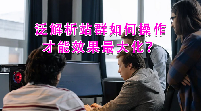 泛解析站群如何操作才能效果最大化？